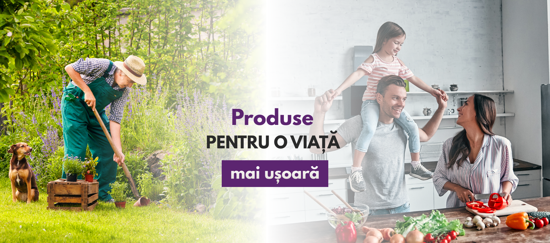 Ortogen® – Produse pentru sănătate, confort și o viață mai ușoară