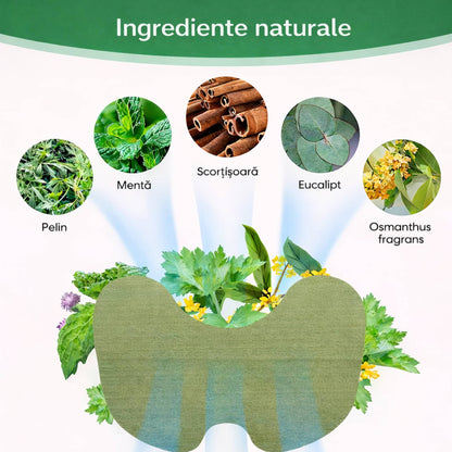 Plasturi din Pelin 25 + 25 CADOU