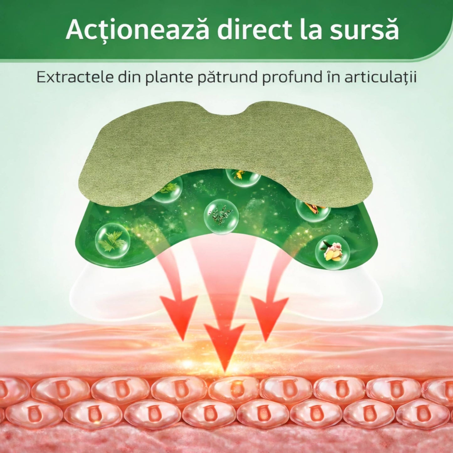 Plasturi din Pelin 25 + 25 CADOU