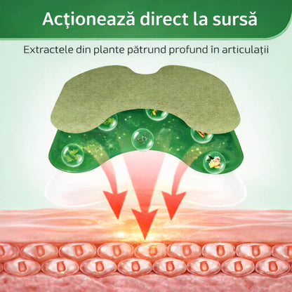 Plasturi din Pelin 25 + 25 CADOU